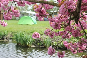 Minicamping Welgelegen in Workum, Friesland